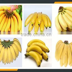 Leader Greeen Pisang Peeling Machine Whatsapp:+8618336073732 thumbnail-6