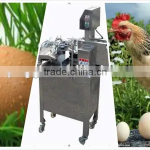 China Latest Style Automatic 3000pcs/h Stainless Egg Breaking Machine/egg Breaker(008613823737025) thumbnail-1