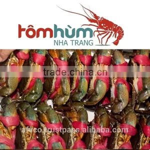 LIVE Mud Crab Vietnam: Male, Female, Egg Mud Crab thumbnail-4