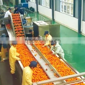 1 Tons Tomato Jam Production Line thumbnail-1