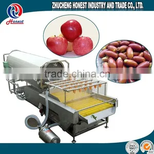 SGS Certificate Automatic Vegetable Washing Machine thumbnail-3