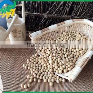 Yellow Soybean thumbnail-1