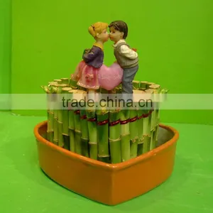 Heart Shaped Love Shaped Tower Lucky Bamboo Bonsai Dracaena Sanderiana Indoor Aquatic Feng Shui Plants Nursery Garden Decoration thumbnail-2