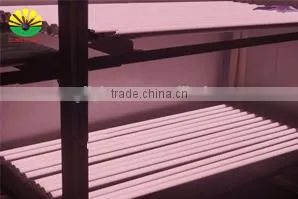 2016 Hot Sale Pink LEDs Zoo Animal Video Tube 2015 Led Pink Tube Anim Pink LED Light Source for Fresh Meat With 3 Years Warranty thumbnail-1