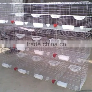 4 Tiers A Type Layer Chicken Battery Cage for Poultry Farm thumbnail-4