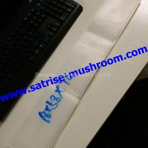 Modern Design Mushroom Filling Bag thumbnail-2