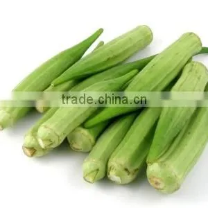 Exporters of Fresh Vegetables thumbnail-6