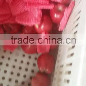 2016 Red Delicious Huaniu Apple thumbnail-4