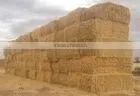 Wheat Straw, Hay Straw, Hay Bale, Straw Hay Bale, Wheat Straw Hay, Cattle Feed Straw thumbnail-1