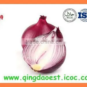 Export China Fresh New Crop Red and Yellow Onion thumbnail-6