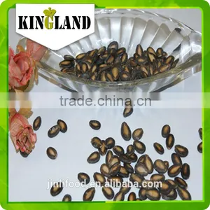 Wholesale Watermelon Seeds With Best Price thumbnail-2