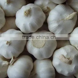 Fresh Garlic/ail Frais thumbnail-1