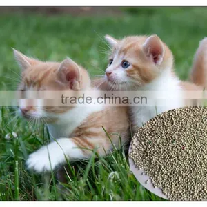 Cheap Best Clean Clumping Bentonite Clay Cat Litter Eco-friendly thumbnail-4