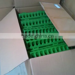 Poultry Feeding Troughs for Quail,pigeon thumbnail-5