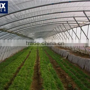 Polycarbonate Sheet Solar Greenhouse thumbnail-1