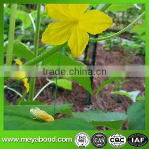 High Quality Climbing Plant Support Net thumbnail-3