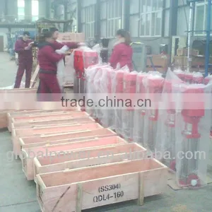 Vertical Multi-stage Centrifugal Pump thumbnail-3