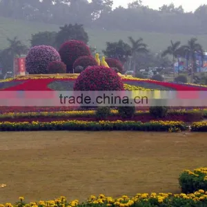 Big Outdoor Tall Plastic Decorative Flower Pots thumbnail-4