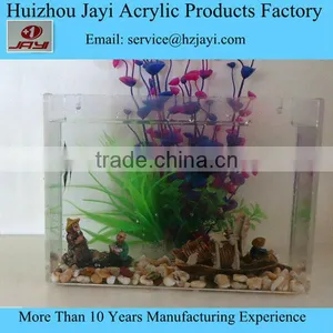 Hot Selling Aquarium Tank Fish thumbnail-2
