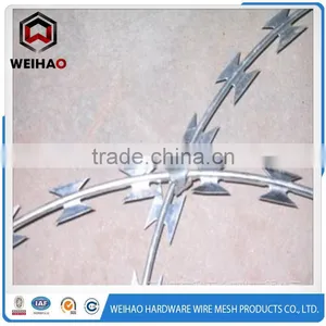Specialized Manufacturer Galvanized Blade Barbed Wire thumbnail-2
