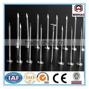 Good Quality Cupper Nails (factory) thumbnail-1