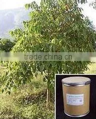 BOSWELLIA DRY EXTRACT thumbnail-4