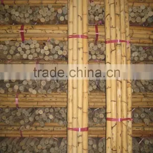 Manau Cane, Manau, Manao, Rattan Pole, Pole, Rattan, Cane, Rattan Cane, Cricket Cane, Singapore Cane, Manao Cane, Manao Pole thumbnail-4