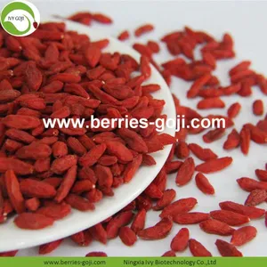 Factory Supply Nutrition Dried Lycium Chinense thumbnail-1