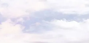 Avent Security Hk Co.,Ltd company overview - view 1 thumbnail
