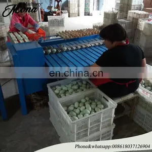 Popular Selling Industrial Egg Processing Machine Electronic Egg Grader thumbnail-2