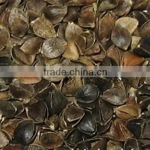 Organic Buckwheat thumbnail-1
