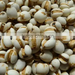 Organic Pearl Barley thumbnail-1