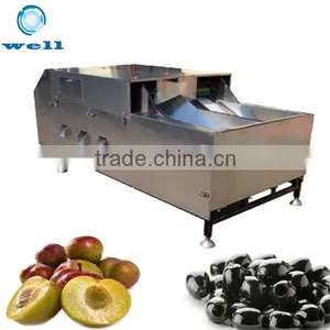 Fruit Pitter Machine|olive Pitter| Fruit Stoning Machine thumbnail-1