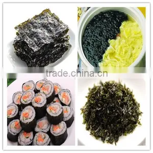 Chinese Supplier of Seaweed Lave for Wholesale thumbnail-6