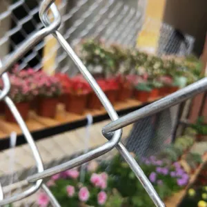 China Manufacturer Galvanized Zinc Coated Chain Link Fence / PVC Coated Chain Link Fence thumbnail-2
