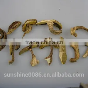 Porcini Mushroom Mycelium Sale Mushroom Extract thumbnail-6