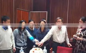Shijiazhuang Mayrain Imp/Exp Co., Ltd. company overview - view 1 thumbnail