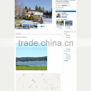 Professional Ads Platform Website Design thumbnail-1