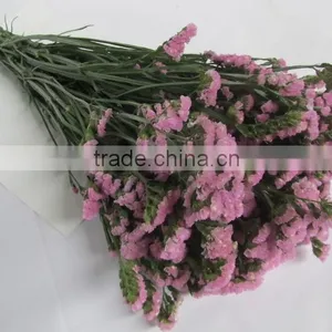 Fresh Factory Direct Fresh Cut Myosotis Flower thumbnail-3