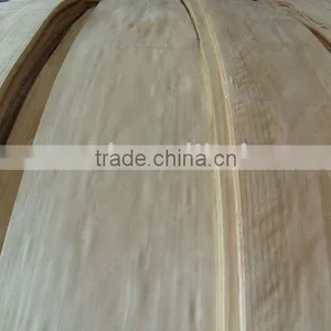 Sliced Radiate Pine thumbnail-1