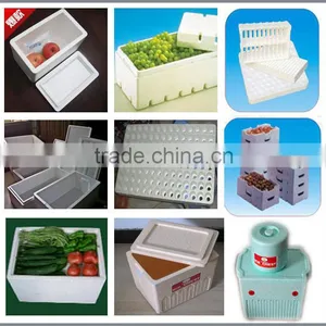 EPS Densified Machine/EPS Disposable Machine/EPS Recycling thumbnail-4