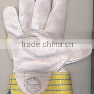 CANVAS LEATHER HAND GLOVES (SSS-1006) thumbnail-1
