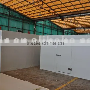 Vegetable Cold Storage Assembled by PU Cam Lock Panels thumbnail-1