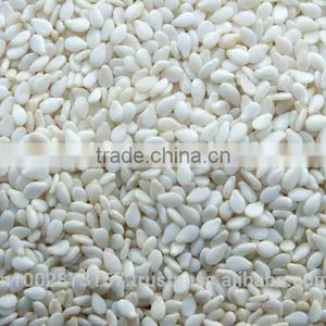 Gujarat Origin Sesame Seeds thumbnail-1