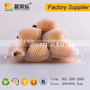 Disposable Plastic PET Fruit and Vegetable Tray thumbnail-1