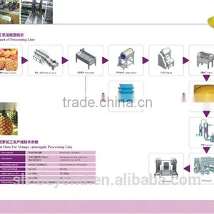 Complete Pineapple Fruit Processing Line thumbnail-1