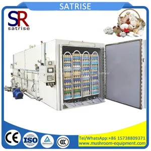Mushroom Sterilization Machines Sterilizer thumbnail-1