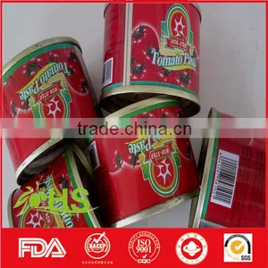 Tomato Paste in Cans and Drum thumbnail-6