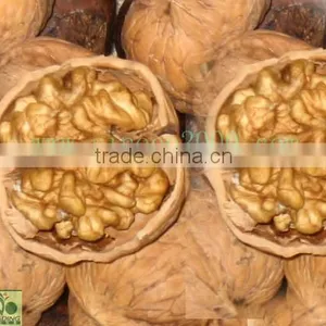 Walnut thumbnail-1