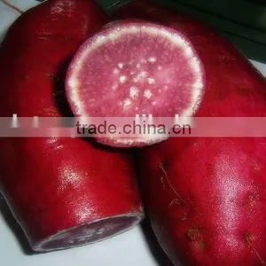 New Frozen Sweet Potatos Bulk Order for Sale thumbnail-3